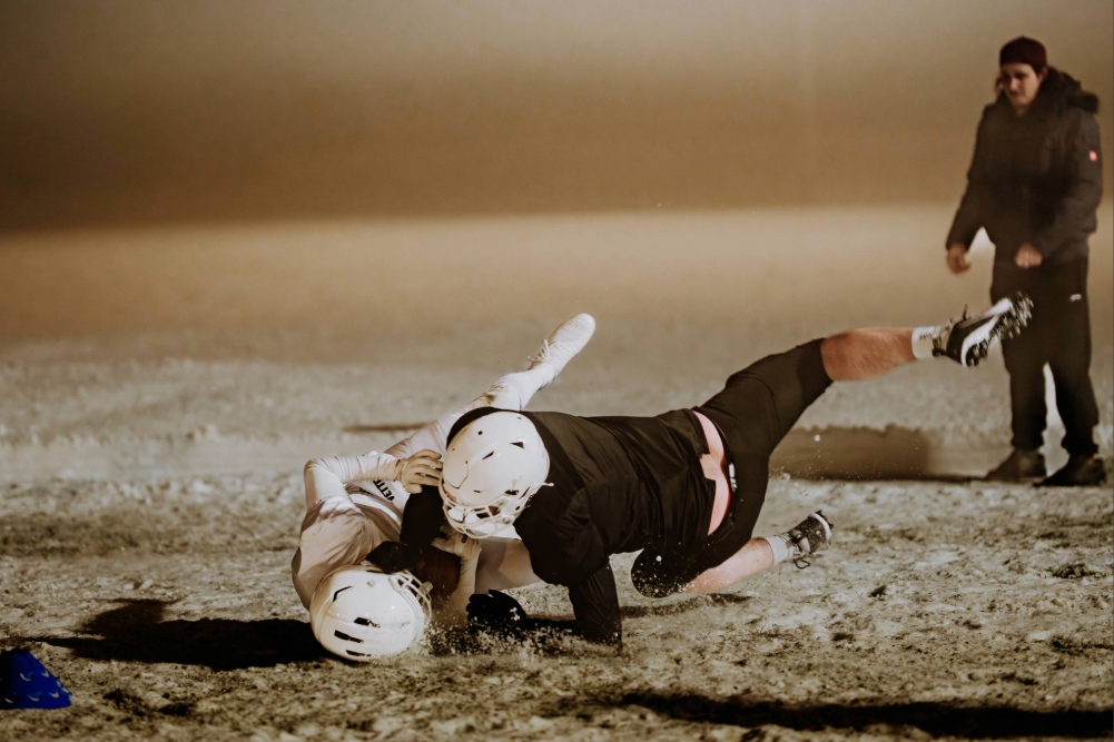 Galeriebild 2 – Beschreibung